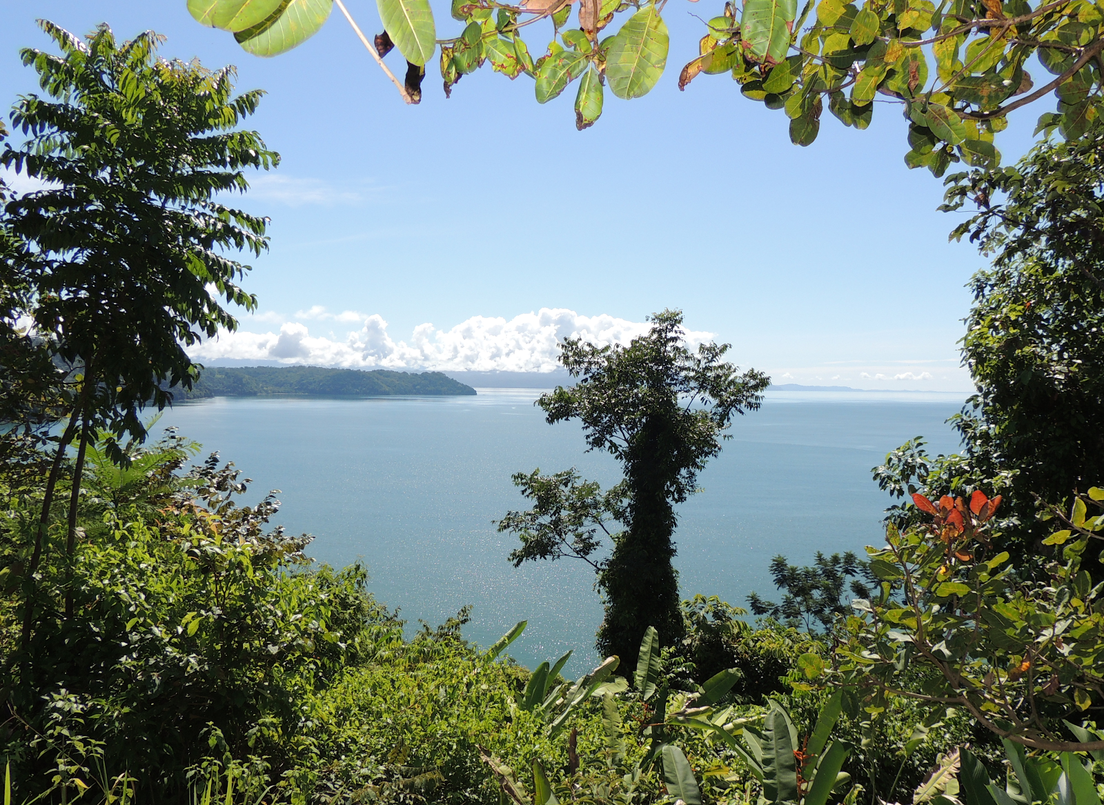 Golfo Dulce, Costa Rica